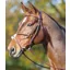 Shires Adelfia Rolled Leather Mexican Bridle - Australian Nut