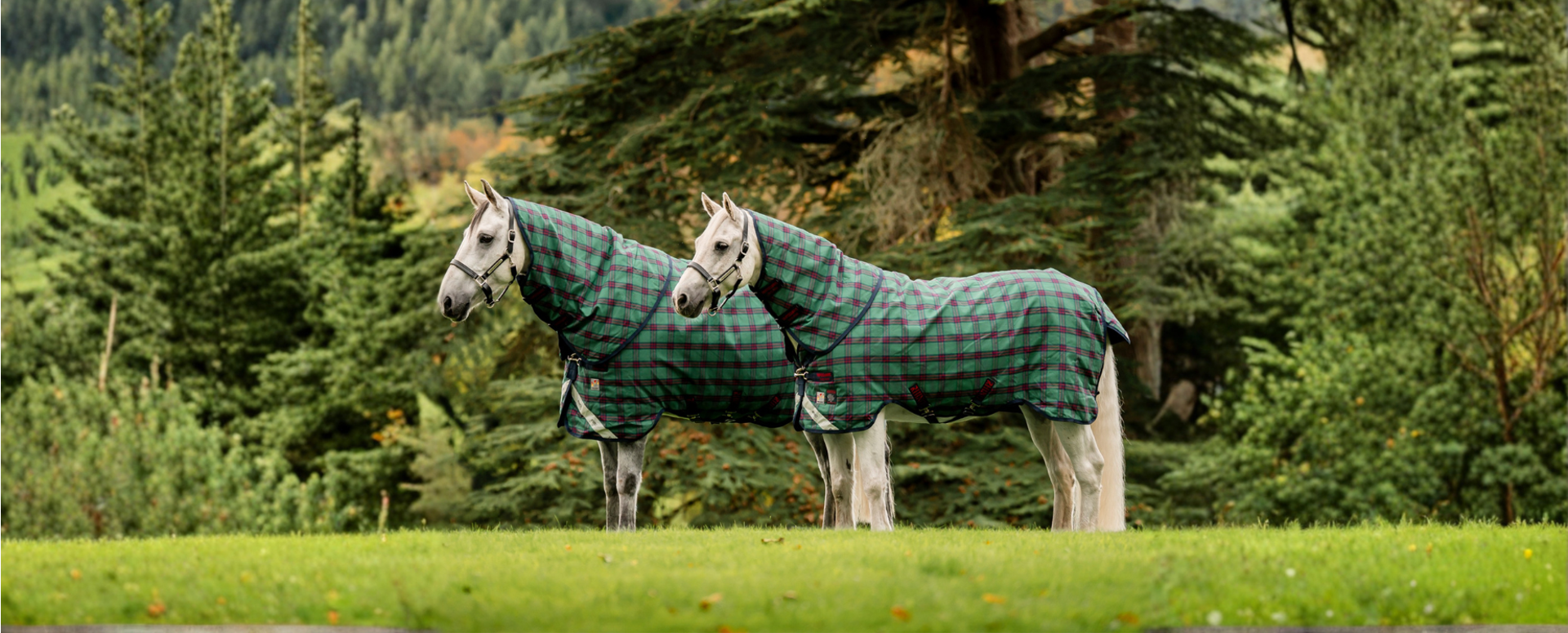 Turnout Rug Sale
