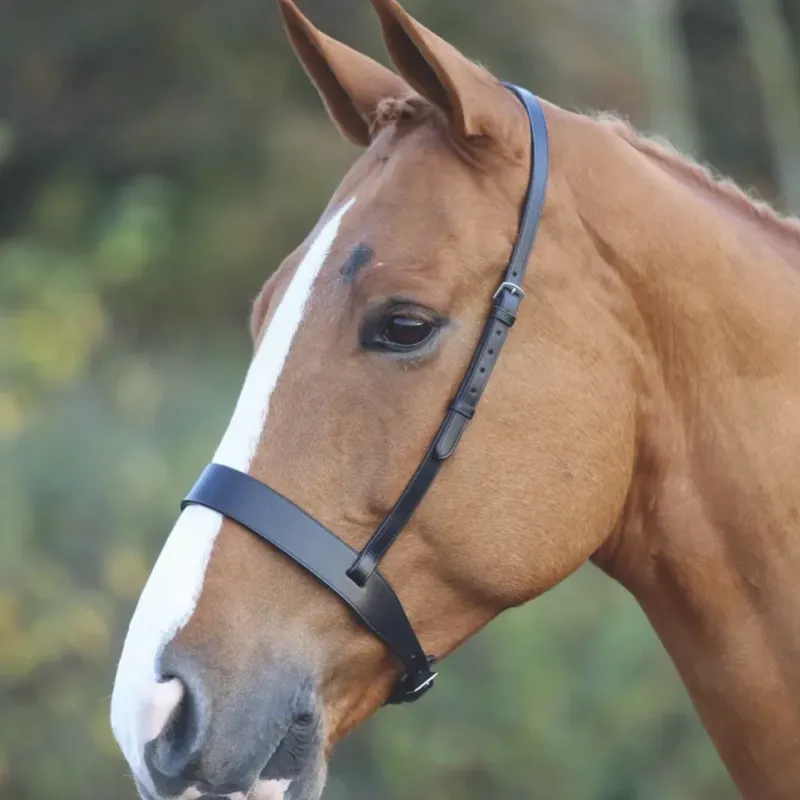 Shires Velociti Hunter Cavesson Noseband - Black 
