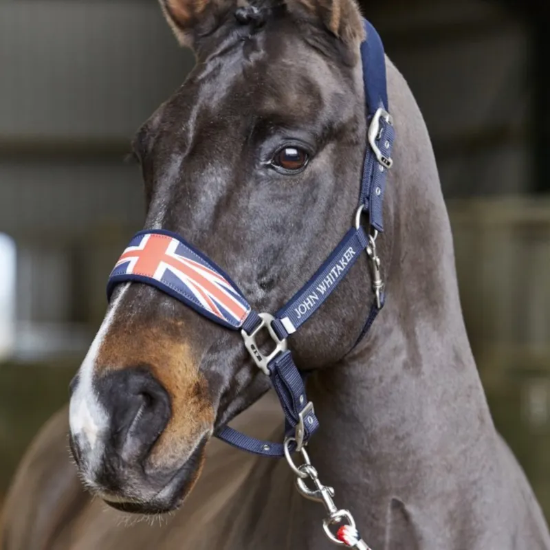 John Whitaker Union Jack Headcollar