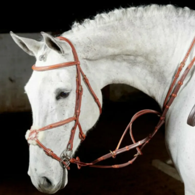 John Whitaker Valencia Performance Mexican Grackle Bridle - Tan