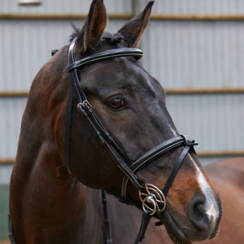 John Whitaker Eastwood Raised Flash Bridle With Comfort Headpiece - Black 