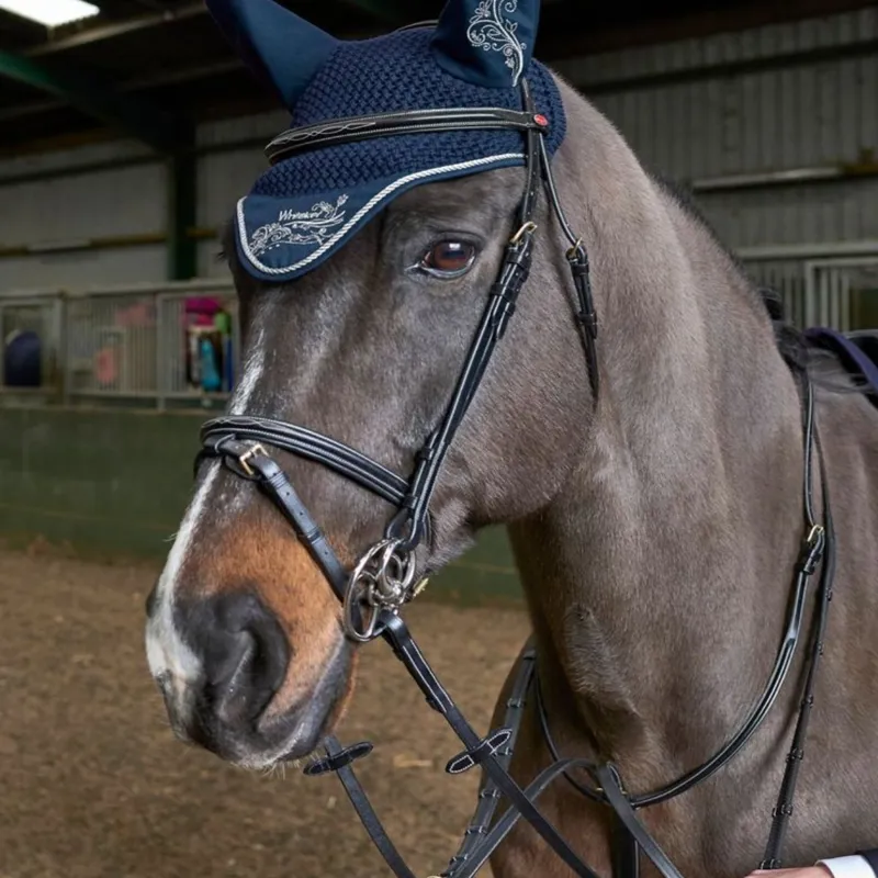 John Whitaker Valencia Performance Flash Bridle - Black 