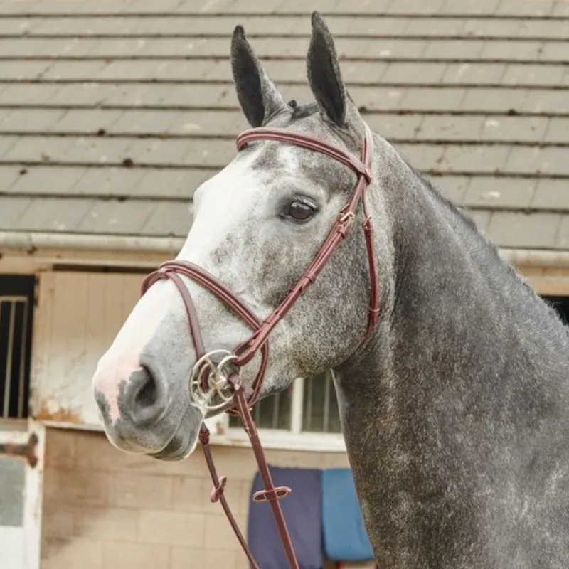 John Whitaker Valencia Performance Flash Bridle - Tan 