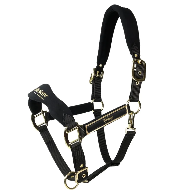 John Whitaker Thornton Headcollar - Black/Gold