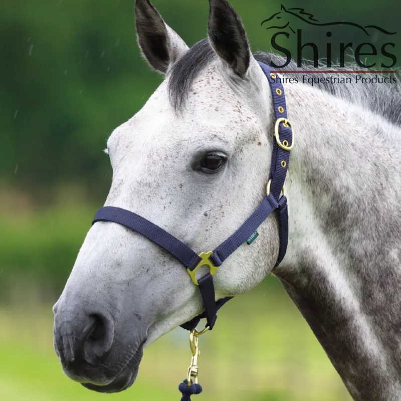 Shires Wessex Headcollar and Lead Rope Set - Navy