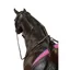 Kincade Poly Anti-Grazing Strap - Black