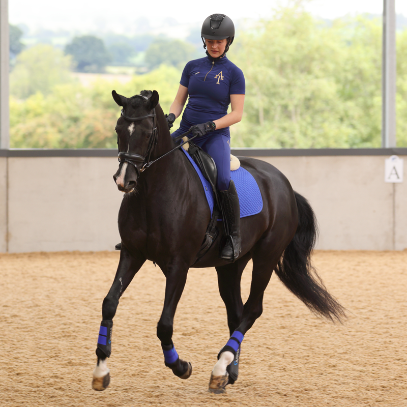 Aubrion Ladies Team Short Sleeve Base Layer - Navy-11