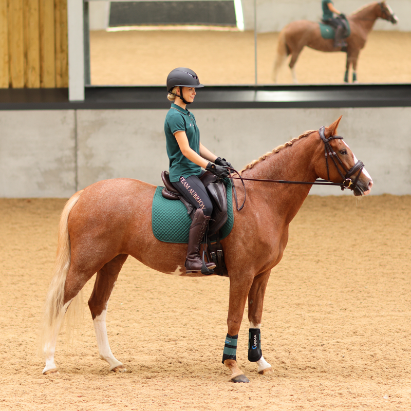 Aubrion Team Ladies Polo Shirt - Green-5