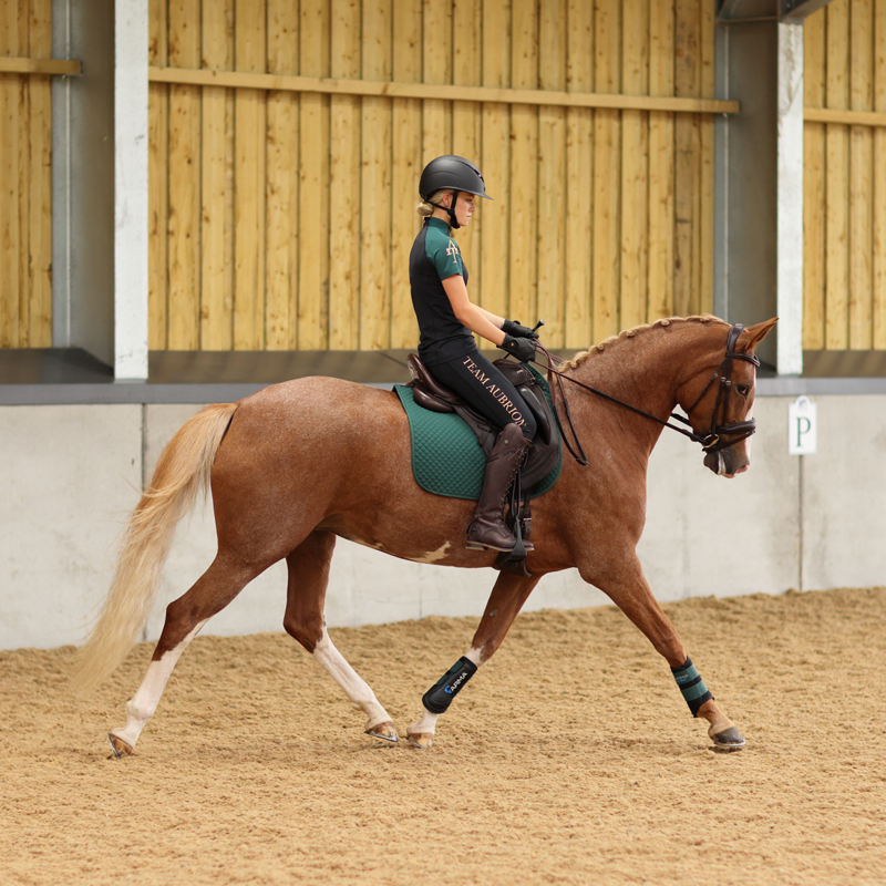 Aubrion Ladies Team Riding Tights - Black-5