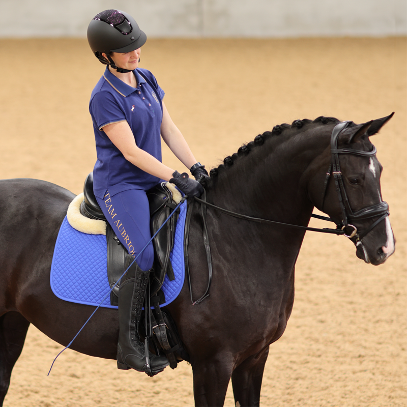 Aubrion Ladies Team Riding Tights - Navy-8