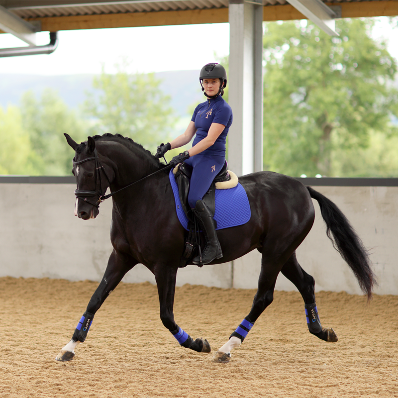 Aubrion Ladies Team Riding Tights - Navy-7