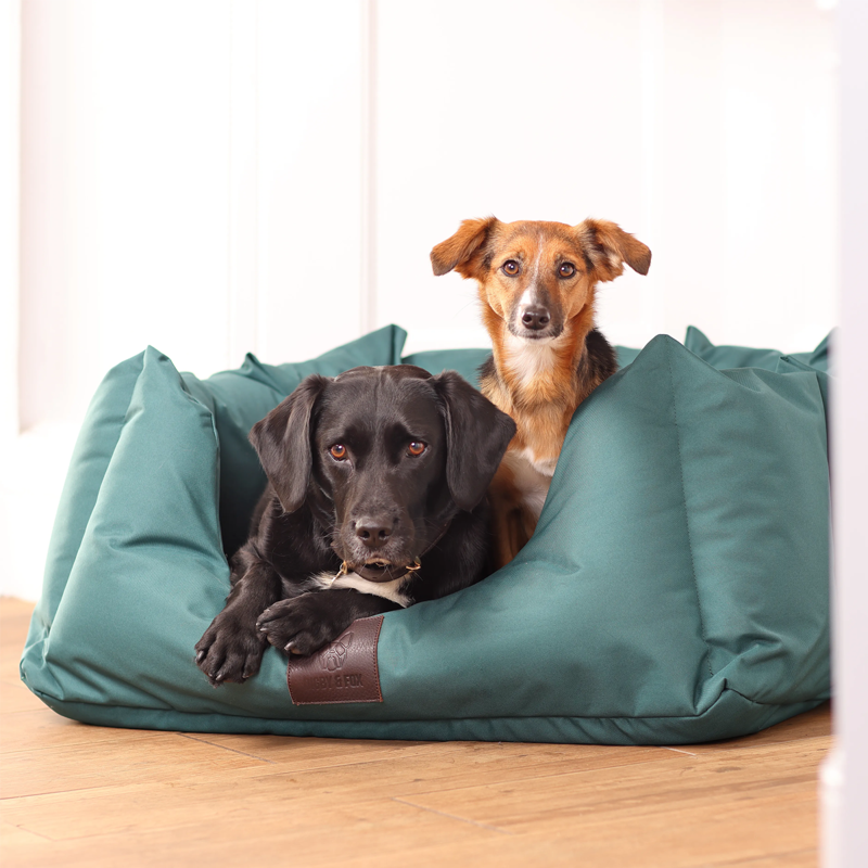 Shires Digby and Fox Nest Dog Bed - Green-2