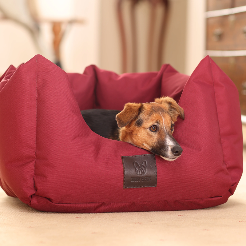 Shires Digby and Fox Nest Dog Bed - Maroon-2