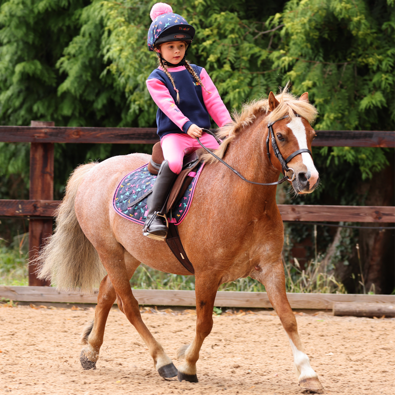 Shires Tikaboo Children's Sweatshirt - Pink Horse-2