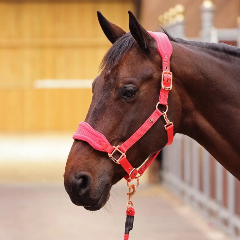 Shires ARMA Comfy Fleece Headcollar and Leadrope - Coral-4