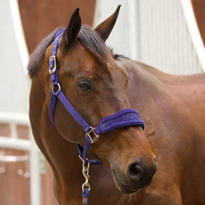 Shires ARMA Comfy Fleece Headcollar and Leadrope - Navy-4