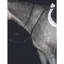 Collegiate Hunter Breastplate IV - Black