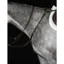 Collegiate Hunter Breastplate IV in Brown