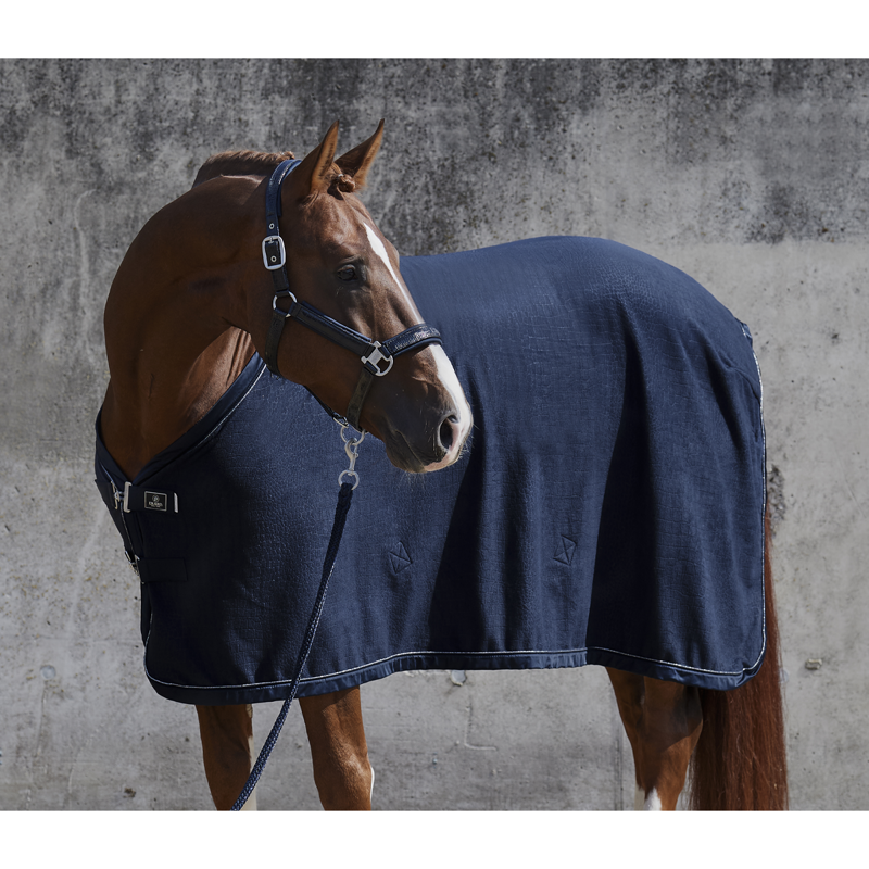 Eskadron Fleece Stamped Sweat Rug Platinum AW22 - Navy-1