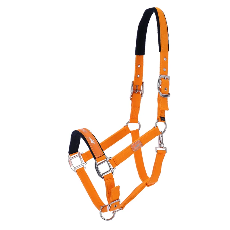 Schockemohle Memphis Style II Headcollar - Mandarin II