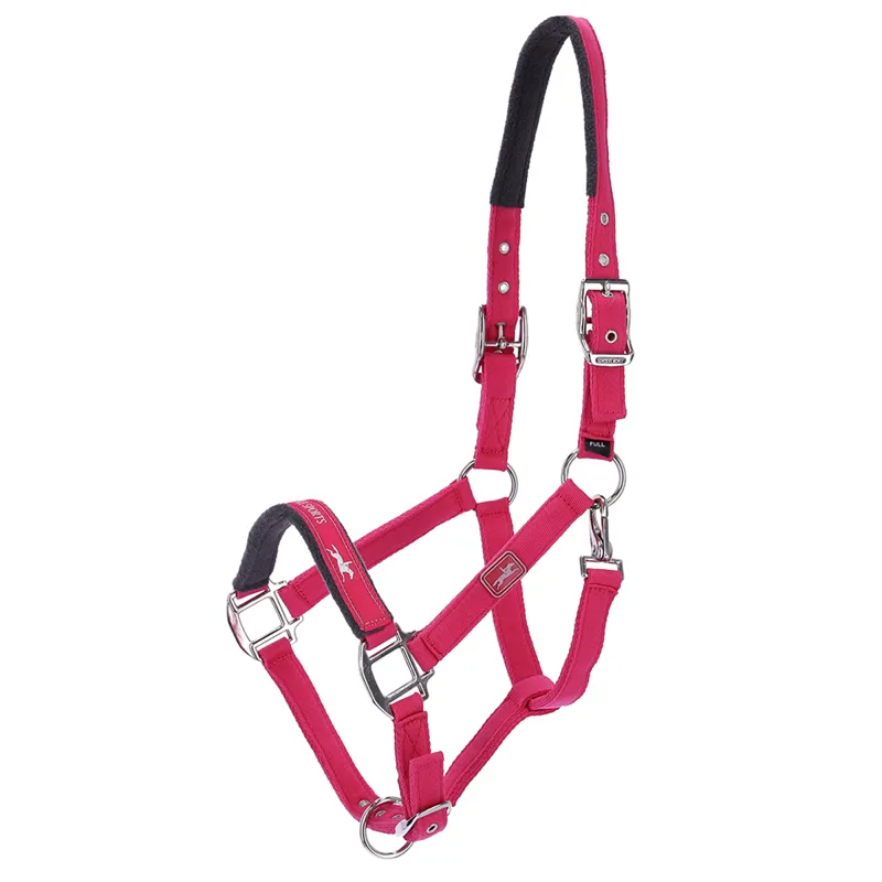 Schockemohle Memphis Style II Headcollar - Hot Pink