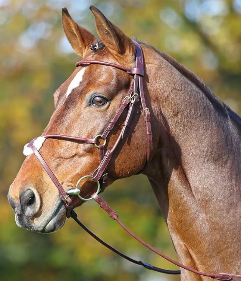 Shires Adelfia Rolled Leather Mexican Bridle - Australian Nut