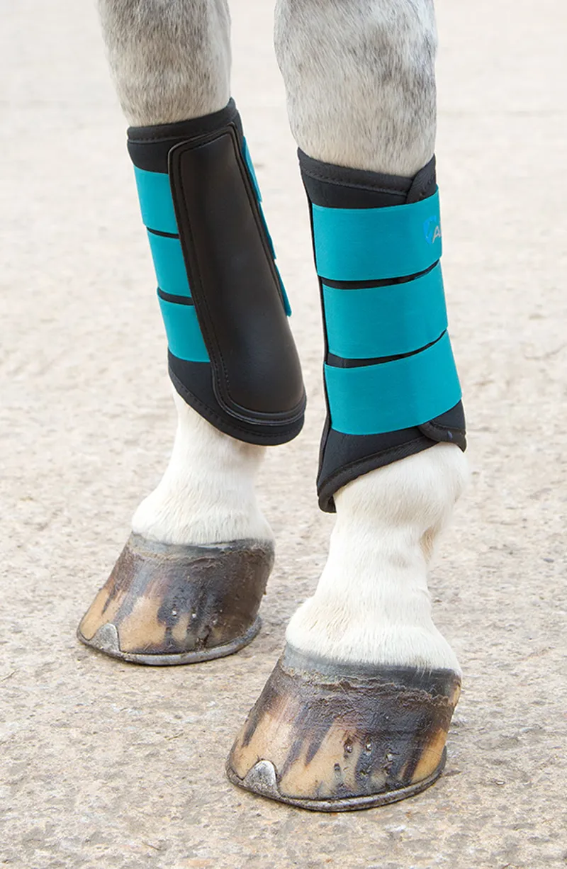 ARMA Neoprene Brushing Boots - Teal-1