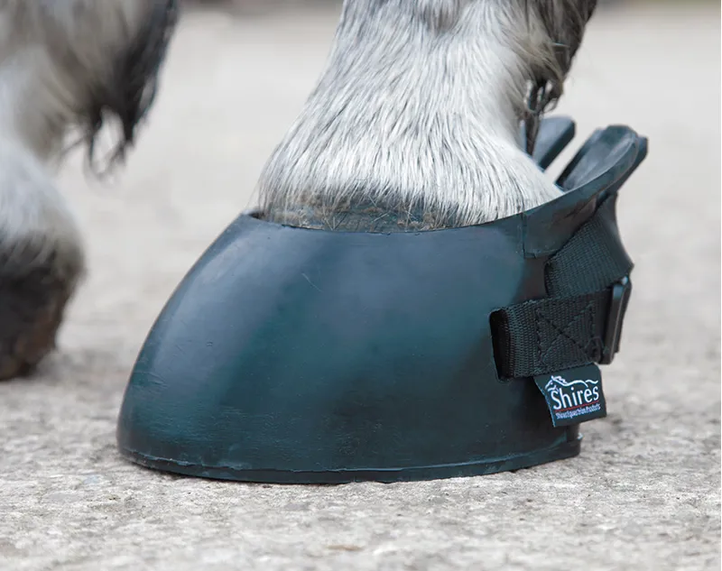 Shires Temporary Shoe Boot - Black
