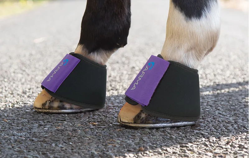 Shires Arma Neoprene Over Reach Boots - Purple-1