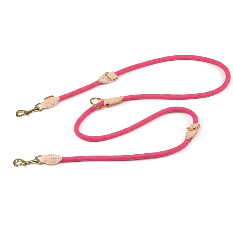 Digby and Fox Reflective Training lead-1