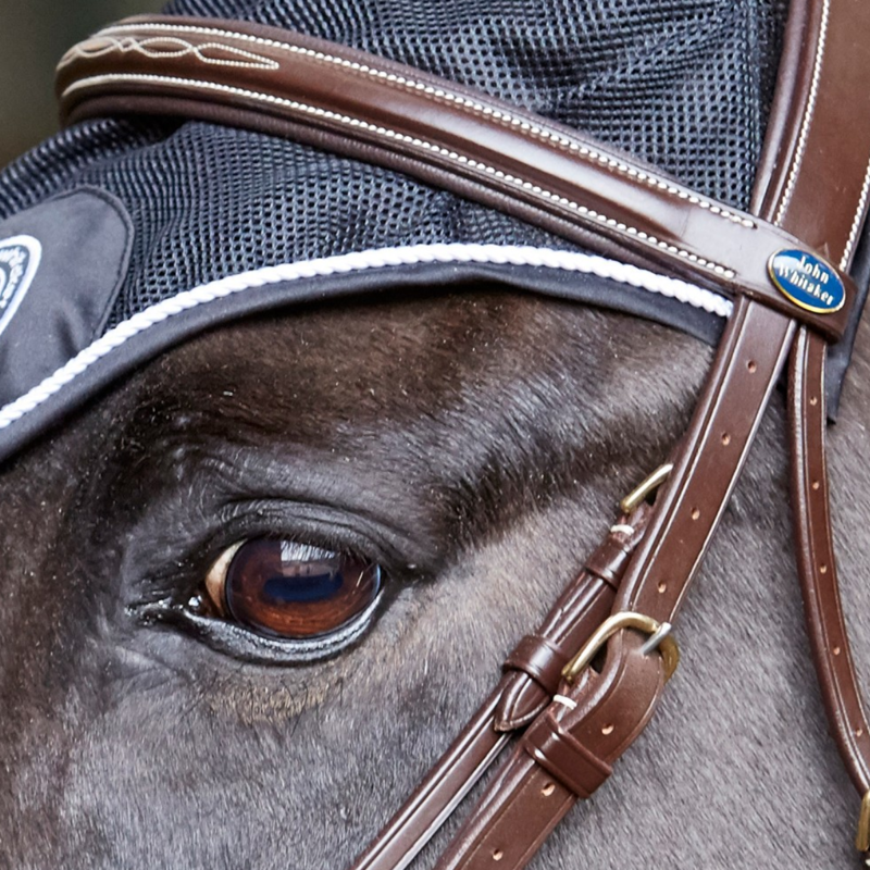 John Whitaker Valencia Performance Mexican Grackle Bridle - Light -1