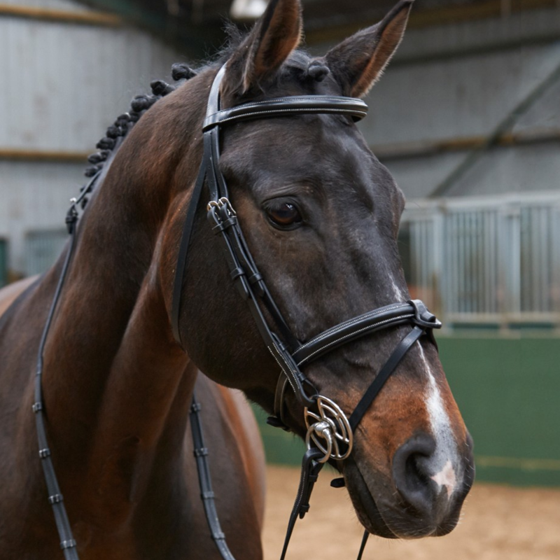John Whitaker Eastwood Raised Flash Bridle With Comfort Headpiece - Black -1