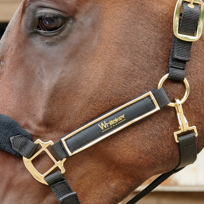 John Whitaker Thornton Headcollar - Black/Gold-1