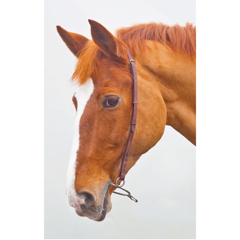 Shires Velociti GARA Chifney Bit Strap - Havana