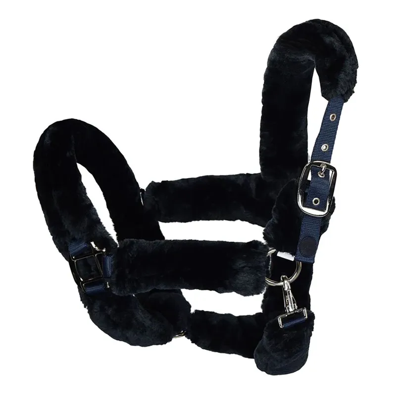 Kingsland KLnikkey Headcollar - Navy