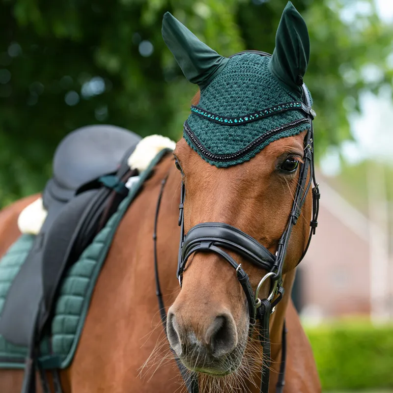QHP Astana Browband - Dark Green-2
