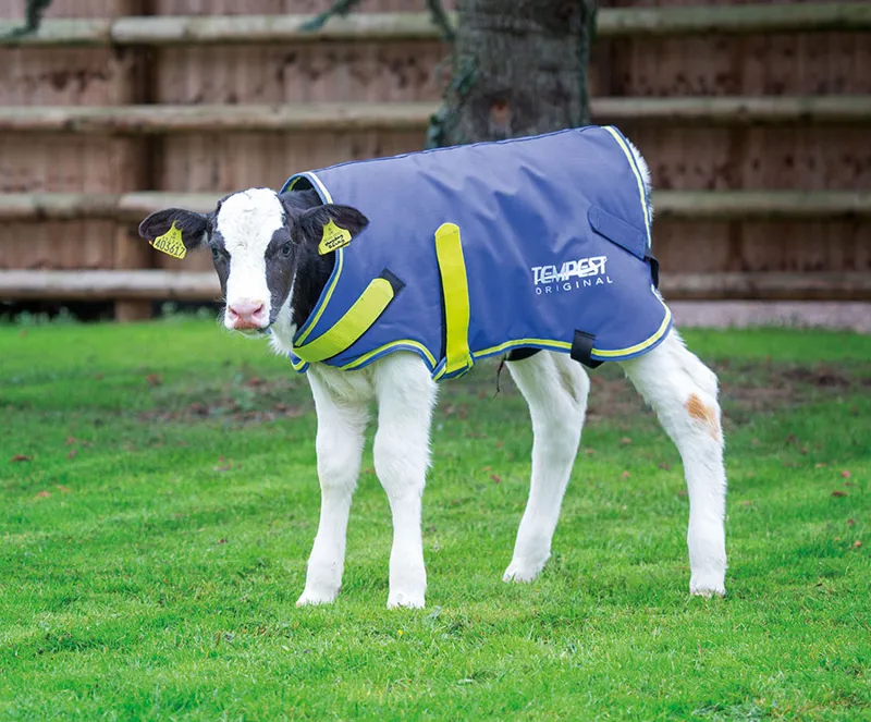Shires Tempest Original Calf/Goat Coat 