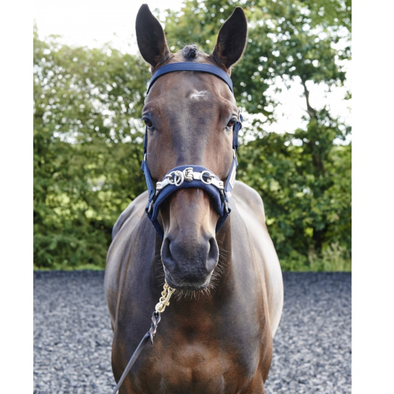 John Whitaker Lunge Cavesson - Navy-2