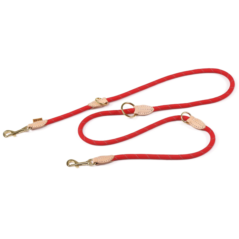 Digby and Fox Reflective Training lead-2