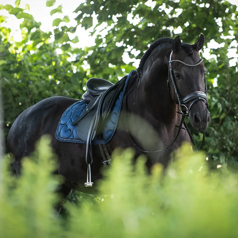QHP Lily Dressage Saddlepad - Full - Navy-3