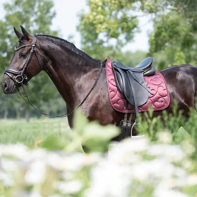 QHP Lily Dressage Saddlepad - Full - Burgundy-3
