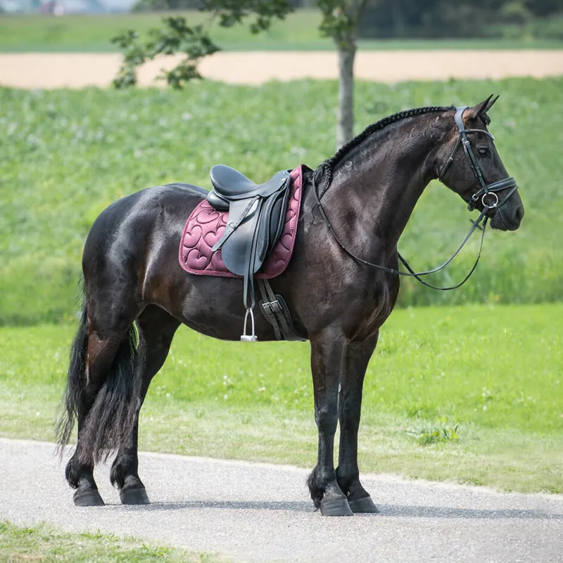 QHP Lily Dressage Saddlepad - Full - Burgundy-4