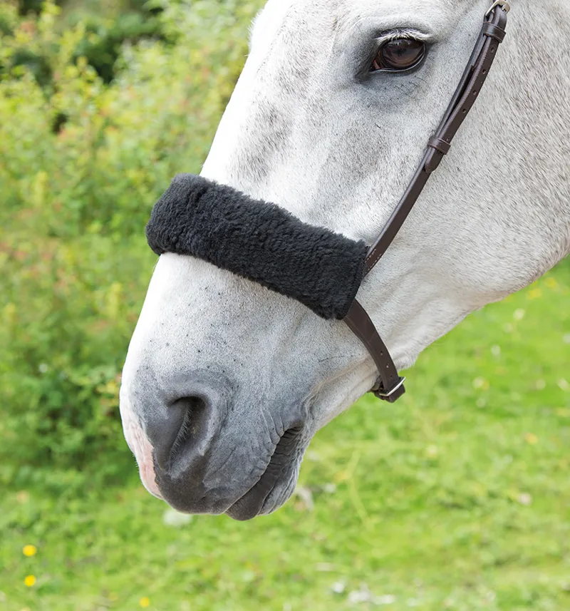 Shires One Size Acrilan Noseband Sleeve In Black