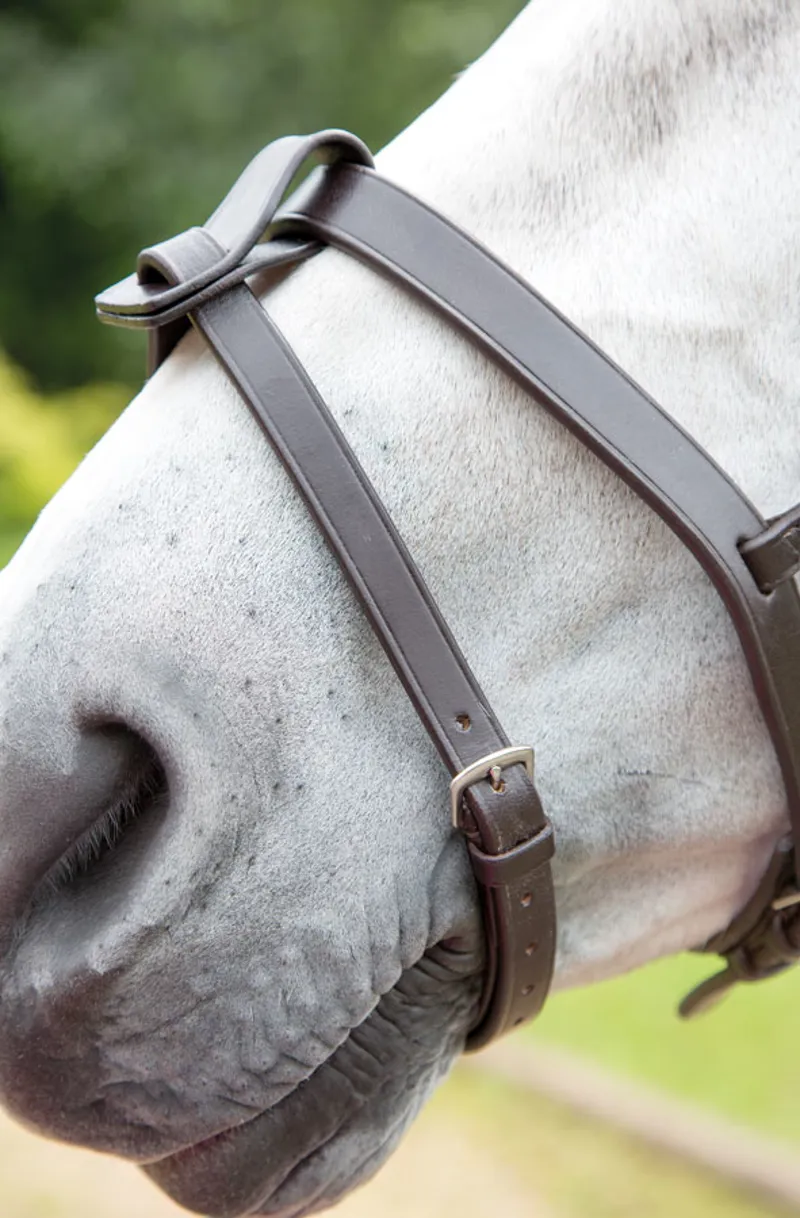 Shires Velociti Flash Strap - Havana-1