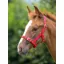Shires ARMA Foal Headcollar - Red