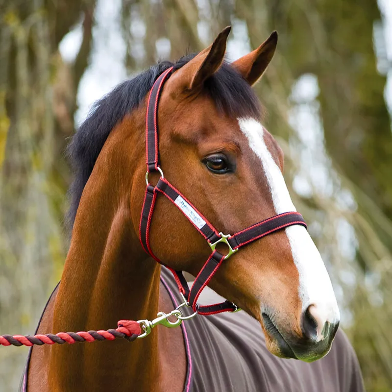 Amigo Headcollar and Leadrope Set - Java/Red