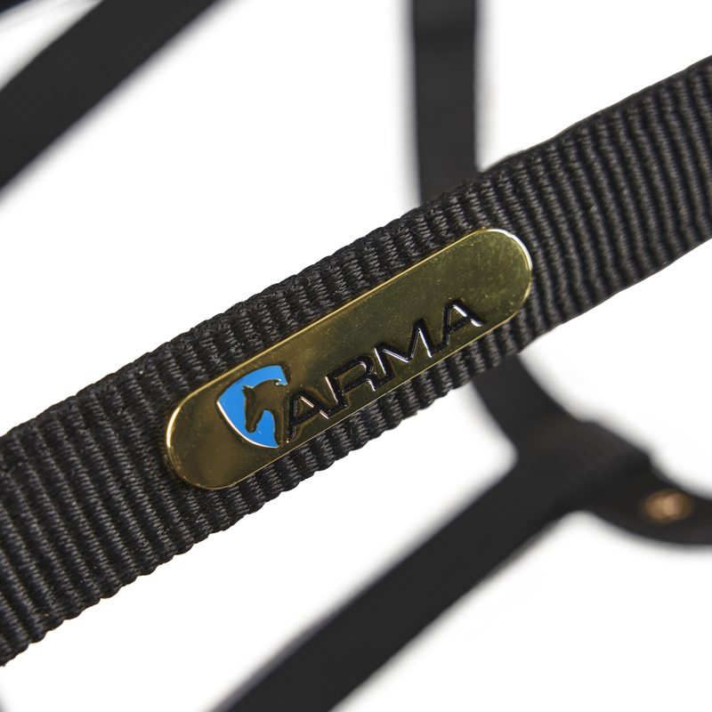 Shires ARMA Fleece Lined Lunge Cavesson - Black-2