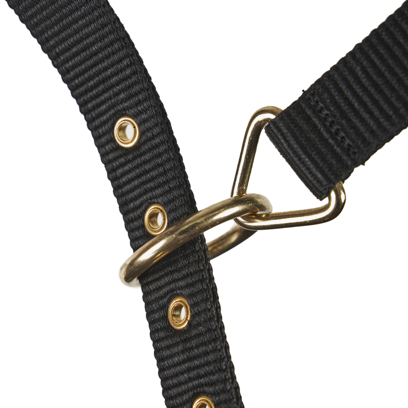 Shires ARMA Fleece Lined Lunge Cavesson - Black-1