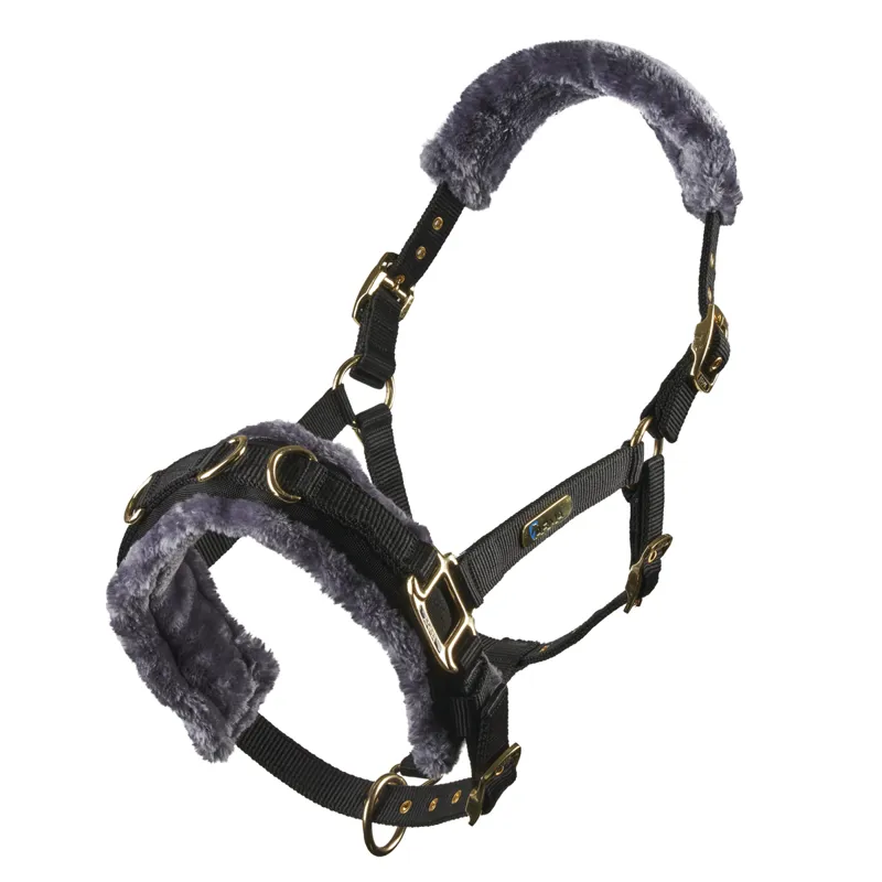 Shires ARMA Fleece Lined Lunge Cavesson - Black